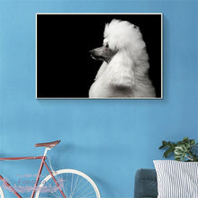 Load image into Gallery viewer, Black &amp; White Noble Poodle
