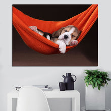 Load image into Gallery viewer, Sleeping Puppy
