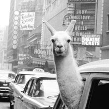 Load image into Gallery viewer, Llama In New York City
