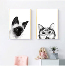Load image into Gallery viewer, Curious Cats
