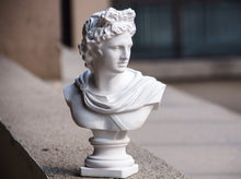 Load image into Gallery viewer, Apollo Bust Statue
