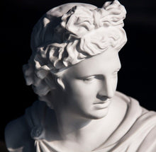 Load image into Gallery viewer, Apollo Bust Statue
