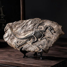 Load image into Gallery viewer, Dinosaur Fossil Specimen
