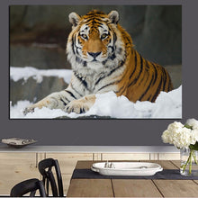 Load image into Gallery viewer, Wild Tiger Poster
