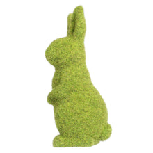Load image into Gallery viewer, Moss Effect Green Rabbit
