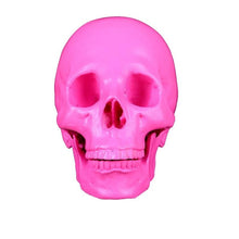 Load image into Gallery viewer, Pink Skull
