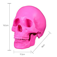 Load image into Gallery viewer, Pink Skull

