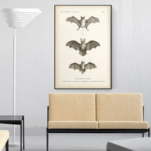 Load image into Gallery viewer, Vintage Bat Print
