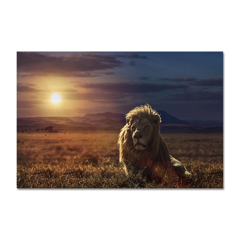 Wild Lion Sunset