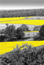 Load image into Gallery viewer, Yellow European Landscape
