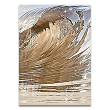 Load image into Gallery viewer, Abstract Golden Feathers

