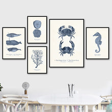 Load image into Gallery viewer, Sea Creatures Print

