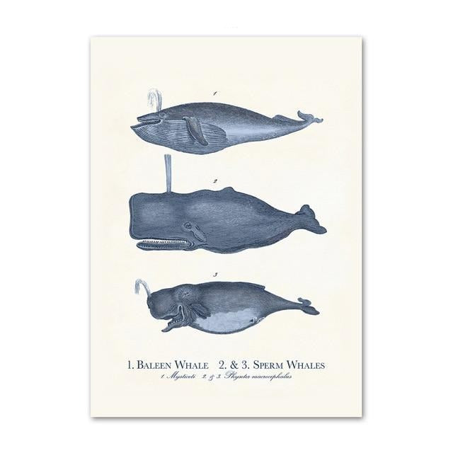 Sea Creatures Print