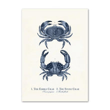 Load image into Gallery viewer, Sea Creatures Print
