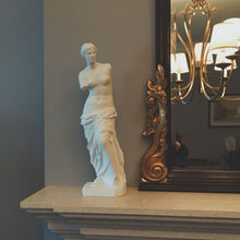 Load image into Gallery viewer, Statue of Milos
