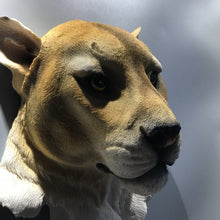 Load image into Gallery viewer, Animal Head Wall Figurine
