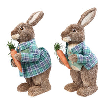 Load image into Gallery viewer, Easter Bunny In Garden (2pcs)
