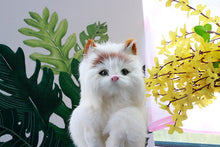 Load image into Gallery viewer, Cute Plush Cat Ornaments
