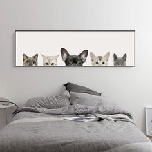 Load image into Gallery viewer, Cute Animals Peekaboo
