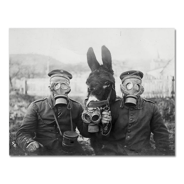 Soldiers & Donkey In WW1
