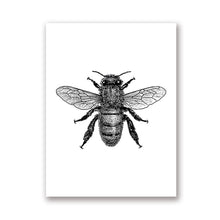 Load image into Gallery viewer, Insect Illustration Print
