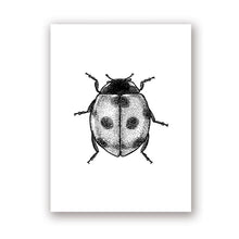 Load image into Gallery viewer, Insect Illustration Print

