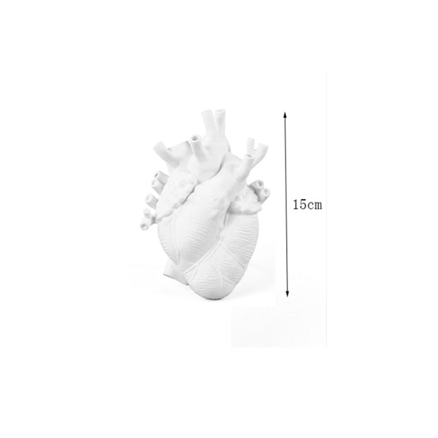 Anatomical Heart-shaped Vase