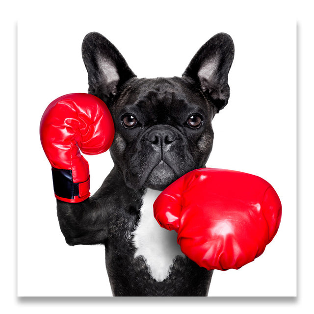 Puppy With Boxing Gloves
