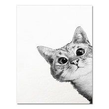 Load image into Gallery viewer, Curious Cats
