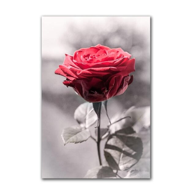 Vintage Red Rose Poster