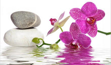 Load image into Gallery viewer, Purple Orchid Zen
